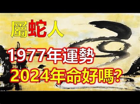 1977年農曆|農曆11月生肖運勢搶先看！屬鼠得財不費力、屬牛愛情來敲門